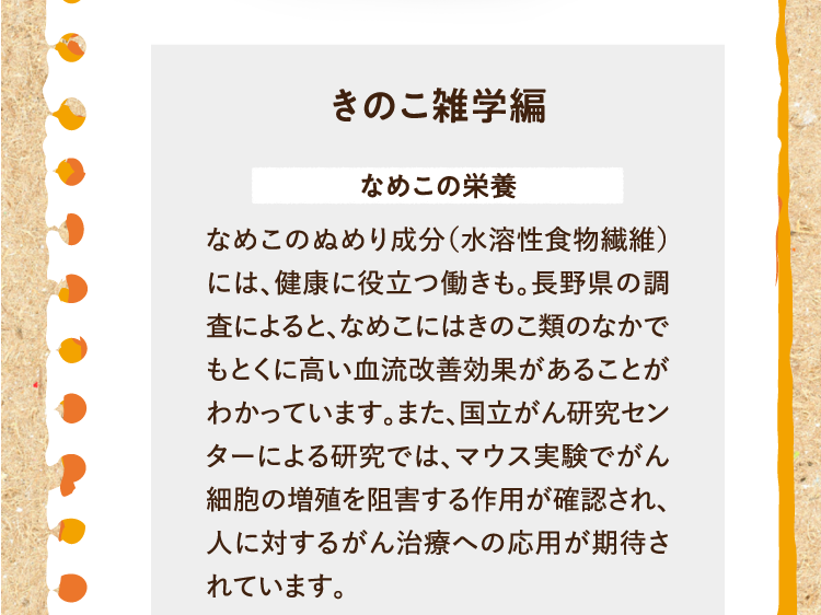 きのこ雑学編を紹介します。 なめこの栄養 なめこのぬめり成分（水溶性食物繊維）には、健康に役立つ働きも。長野県の調査によると、なめこにはきのこ類のなかでもとくに高い血流改善効果があることがわかっています。また、国立がん研究センターによる研究では、マウス実験でがん細胞の増殖を阻害する作用が確認され、人に対するがん治療への応用が期待されています。 