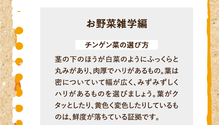お野菜雑学編を紹介します。 チンゲン菜の選び方 茎の下のほうが白菜のようにふっくらと丸みがあり、肉厚でハリがあるもの。葉は密についていて幅が広く、みずみずしくハリがあるものを選びましょう。葉がクタッとしたり、黄色く変色したりしているものは、鮮度が落ちている証拠です。