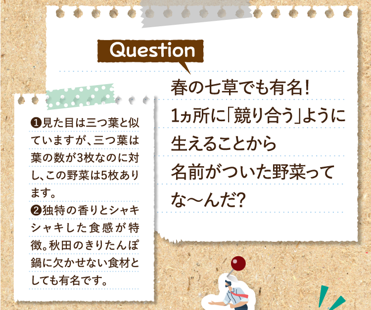 春の七草でも有名！1ヵ所に「競り合う」ように生えることから名前がついた野菜ってな～んだ？ ❶見た目は三つ葉と似ていますが、三つ葉は葉の数が3枚なのに対し、この野菜は5枚あります。 ❷独特の香りとシャキシャキした食感が特徴。秋田のきりたんぽ鍋に欠かせない食材としても有名です。