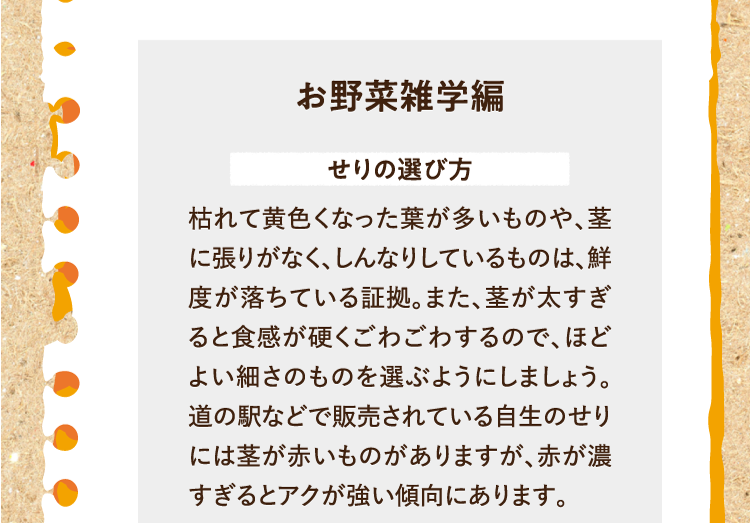 お野菜雑学編を紹介します。 せりの選び方 枯れて黄色くなった葉が多いものや、茎に張りがなく、しんなりしているものは、鮮度が落ちている証拠。また、茎が太すぎると食感が硬くごわごわするので、ほどよい細さのものを選ぶようにしましょう。道の駅などで販売されている自生のせりには茎が赤いものがありますが、赤が濃すぎるとアクが強い傾向にあります。