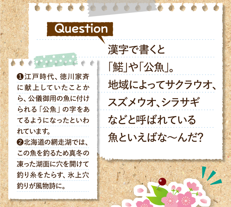 漢字で書くと「鰙」や「公魚」。地域によってサクラウオ、スズメウオ、シラサギなどと呼ばれている魚といえばな～んだ？ ❶江戸時代、徳川家斉に献上していたことから、公儀御用の魚に付けられる「公魚」の字をあてるようになったといわれています。 ❷北海道の網走湖では、この魚を釣るため真冬の凍った湖面に穴を開けて釣り糸をたらす、氷上穴釣りが風物詩に。