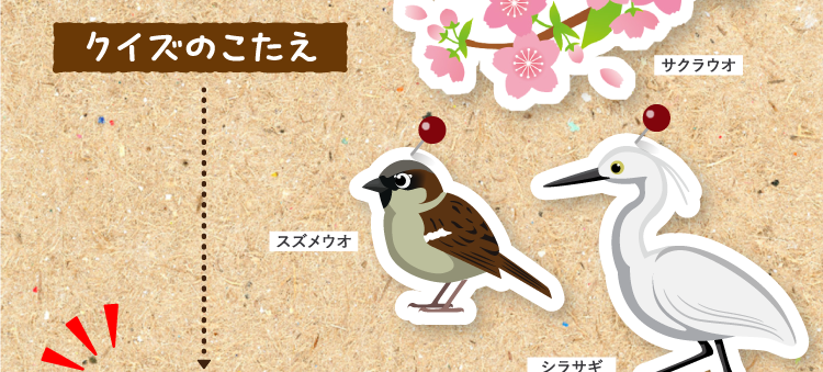 クイズのこたえをチェック！