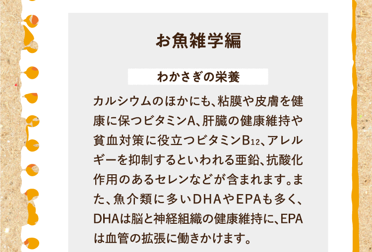 お魚雑学編を紹介します。 わかさぎの栄養 カルシウムのほかにも、粘膜や皮膚を健康に保つビタミンA、肝臓の健康維持や貧血対策に役立つビタミンB12、アレルギーを抑制するといわれる亜鉛、抗酸化作用のあるセレンなどが含まれます。また、魚介類に多いDHAやEPAも多く、DHAは脳と神経組織の健康維持に、EPAは血管の拡張に働きかけます。