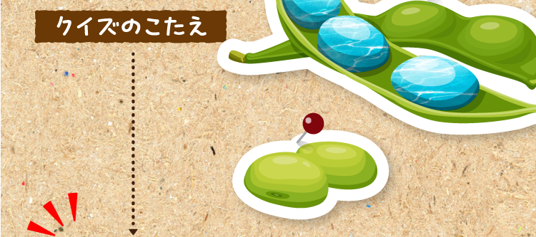 クイズのこたえをチェック！