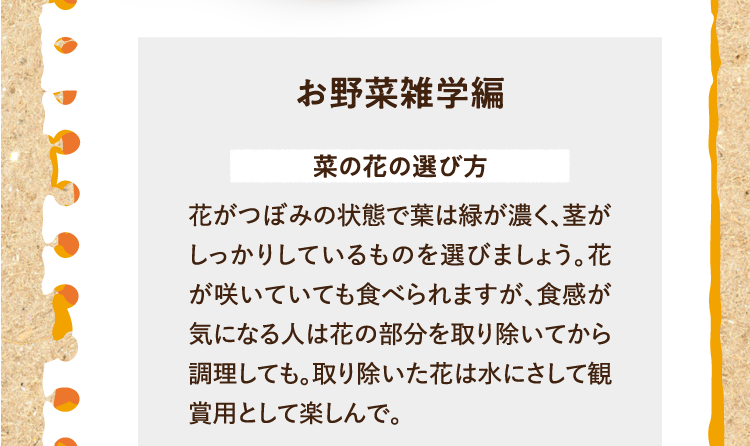 お野菜雑学編を紹介します。 菜の花の選び方 花がつぼみの状態で葉は緑が濃く、茎がしっかりしているものを選びましょう。花が咲いていても食べられますが、食感が気になる人は花の部分を取り除いてから調理しても。取り除いた花は水にさして観賞用として楽しんで。