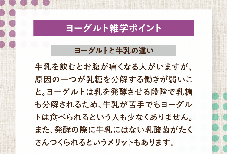 ヨーグルト雑学ポイント ヨーグルトと牛乳の違い 牛乳を飲むとお腹が痛くなる人がいますが、原因の一つが乳糖を分解する働きが弱いこと。ヨーグルトは乳を発酵させる段階で乳糖も分解されるため、牛乳が苦手でもヨーグルトは食べられるという人も少なくありません。また、発酵の際に牛乳にはない乳酸菌がたくさんつくられるというメリットもあります。