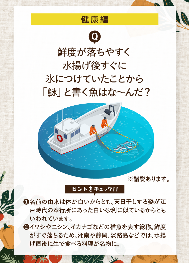 健康編 鮮度が落ちやすく水揚げ後すぐに氷につけていたことから「魚氷」と書く魚はな～んだ？ ※諸説あります。 ヒントをチェック！！ ❶名前の由来は体が白いからとも、天日干しする姿が江戸時代の奉行所にあった白い砂利に似ているからともいわれています。 ❷イワシやニシン、イカナゴなどの稚魚を表す総称。鮮度がすぐ落ちるため、湘南や静岡、淡路島などでは、水揚げ直後に生で食べる料理が名物に。