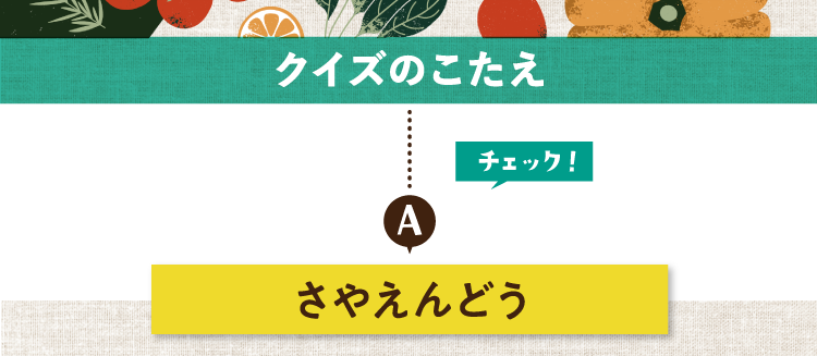 クイズのこたえをチェック！ 答えはやえんどう