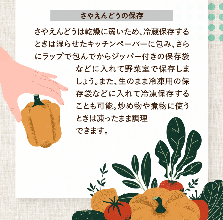 さやえんどうの保存 さやえんどうは乾燥に弱いため、冷蔵保存するときは湿らせたキッチンペーパーに包み、さらにラップで包んでからジッパー付きの保存袋などに入れて野菜室で保存しましょう。また、生のまま冷凍用の保存袋などに入れて冷凍保存することも可能。炒め物や煮物に使うときは凍ったまま調理できます。