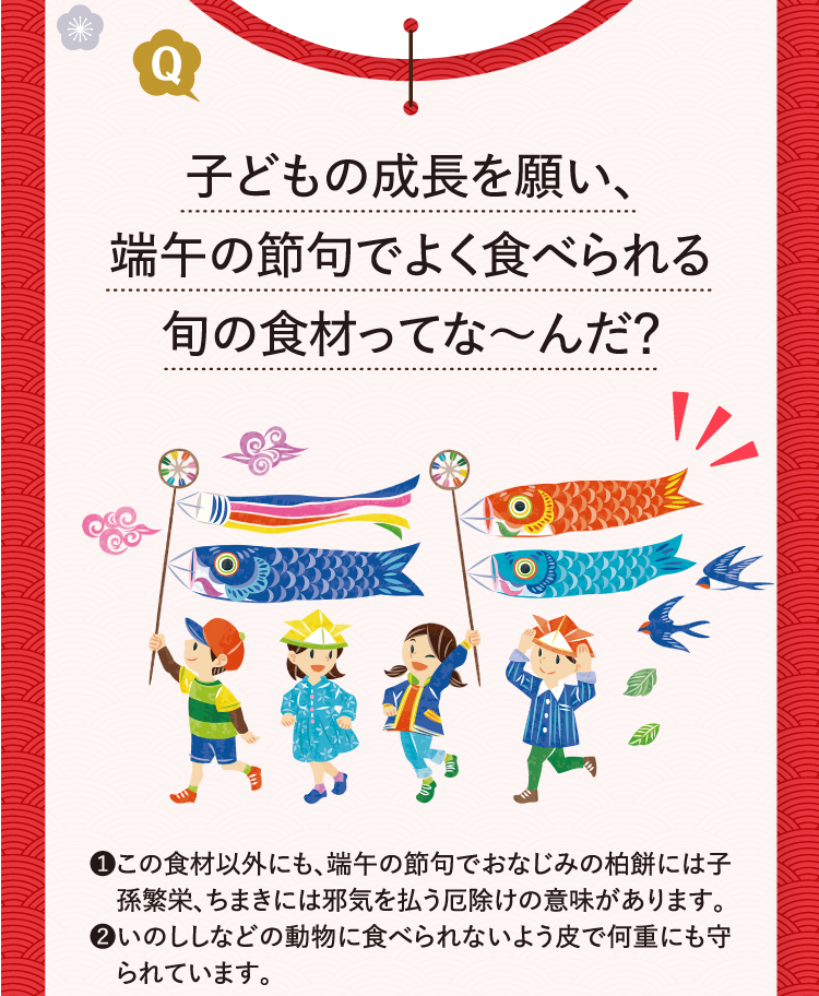 子どもの成長を願い、端午の節句でよく食べられる旬の食材ってな～んだ？ ❶この食材以外にも、端午の節句でおなじみの柏餅には子孫繁栄、ちまきには邪気を払う厄除けの意味があります。 ❷いのししなどの動物に食べられないよう皮で何重にも守られています。