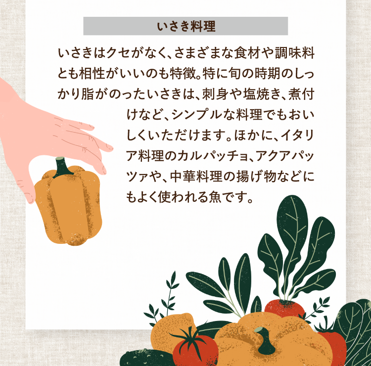 いさき料理 いさきはクセがなく、さまざまな食材や調味料とも相性がいいのも特徴。特に旬の時期のしっかり脂がのったいさきは、刺身や塩焼き、煮付けなど、シンプルな料理でもおいしくいただけます。ほかに、イタリア料理のカルパッチョ、アクアパッツァや、中華料理の揚げ物などにもよく使われる魚です。