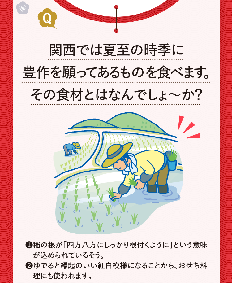 関西では夏至の時季に豊作を願ってあるものを食べます。その食材とはなんでしょ～か？ ❶稲の根が「四方八方にしっかり根付くように」という意味が込められているそう。 ❷ゆでると縁起のいい紅白模様になることから、おせち料理にも使われます。