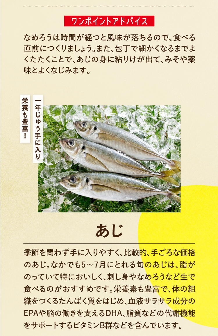 ワンポイントアドバイス なめろうは時間が経つと風味が落ちるので、食べる直前につくりましょう。また、包丁で細かくなるまでよくたたくことで、あじの身に粘りけが出て、みそや薬味とよくなじみます。 一年じゅう手に入り栄養も豊富！ あじ 季節を問わず手に入りやすく、比較的、手ごろな価格のあじ。なかでも5～7月にとれる旬のあじは、脂がのっていて特においしく、刺し身やなめろうなど生で食べるのがおすすめです。栄養素も豊富で、体の組織をつくるたんぱく質をはじめ、血液サラサラ成分のEPAや脳の働きを支えるDHA、脂質などの代謝機能をサポートするビタミンB群などを含んでいます。