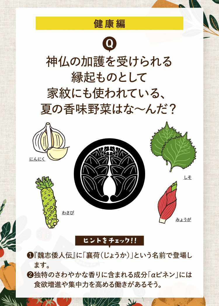 健康編 神仏の加護を受けられる縁起ものとして家紋にも使われている、夏の香味野菜はな～んだ？ ヒントをチェック！！ ❶『魏志倭人伝』に「襄荷（じょうか）」という名前で登場します。 ❷独特のさわやかな香りに含まれる成分「αピネン」には食欲増進や集中力を高める働きがあるそう。