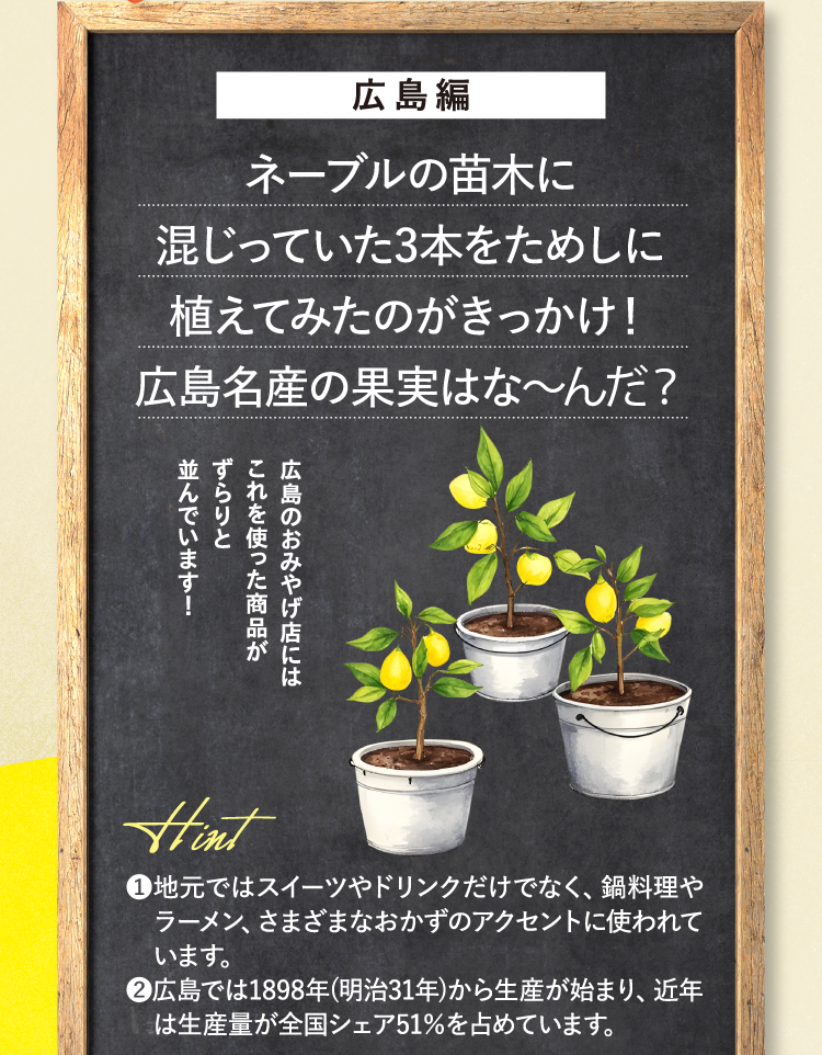 広島編 ネーブルの苗木に混じっていた3本をためしに植えてみたのがきっかけ！広島名産の果実はな〜んだ？ 広島のおみやげ店にはこれを使った商品がずらりと並んでいます！ ヒント ❶地元ではスイーツやドリンクだけでなく、鍋料理やラーメン、さまざまなおかずのアクセントに使われています。 ❷広島では1898年(明治31年)から生産が始まり、近年は生産量が全国シェア51％を占めています。