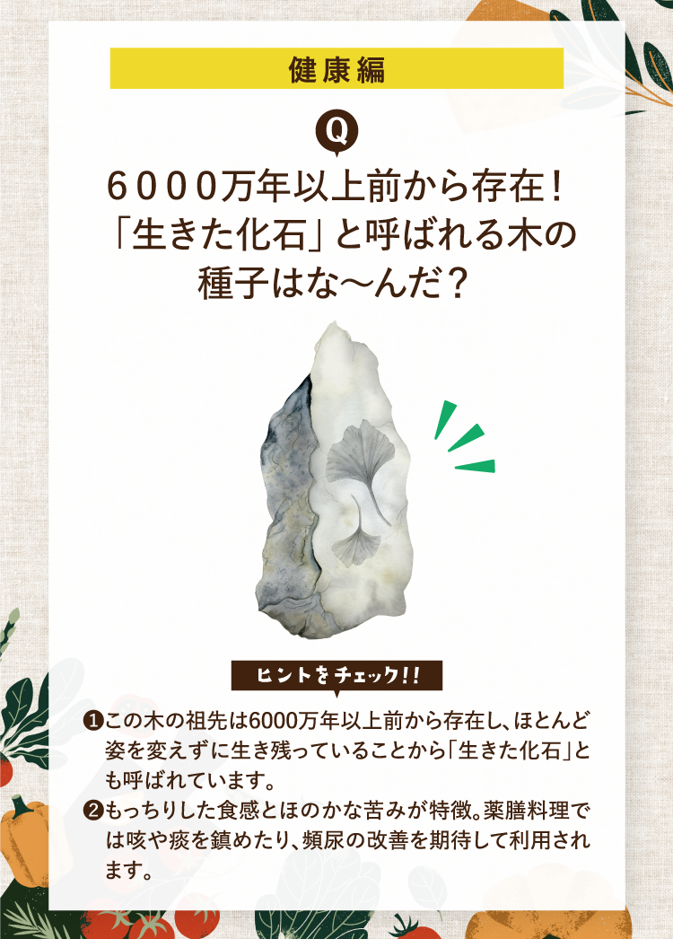 健康編 6000万年以上前から存在！「生きた化石」と呼ばれる木の種子はな～んだ？ ヒントをチェック！！ ❶この木の祖先は6000万年以上前から存在し、ほとんど姿を変えずに生き残っていることから「生きた化石」とも呼ばれています。 ❷もっちりした食感とほのかな苦みが特徴。薬膳料理では咳や痰を鎮めたり、頻尿の改善を期待して利用されます。