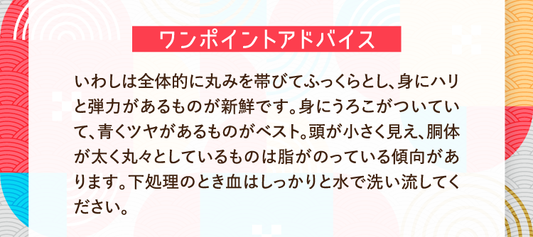 ワンポイントアドバイス いわしは全体的に丸みを帯びてふっくらとし、身にハリと弾力があるものが新鮮です。身にうろこがついていて、青くツヤがあるものがベスト。頭が小さく見え、胴体が太く丸々としているものは脂がのっている傾向があります。下処理のとき血はしっかりと水で洗い流してください。