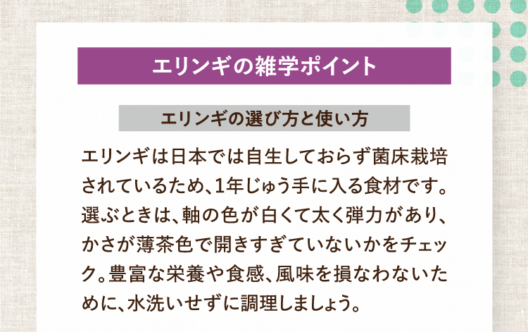 エリンギの雑学ポイント エリンギの選び方と使い方 エリンギは日本では自生しておらず菌床栽培されているため、1年じゅう手に入る食材です。選ぶときは、軸の色が白くて太く弾力があり、かさが薄茶色で開きすぎていないかをチェック。豊富な栄養や食感、風味を損なわないために、水洗いせずに調理しましょう。