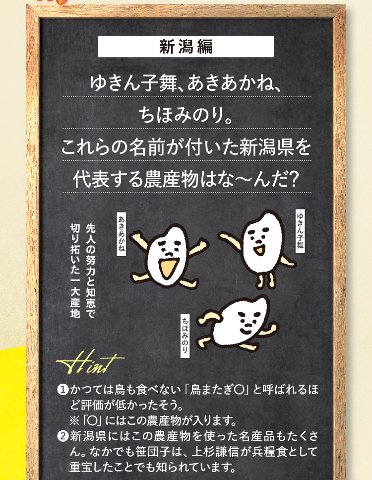 新潟編 ゆきん子舞、あきあかね、ちほみのり。これらの名前が付いた新潟県を代表する農産物はな～んだ？ 先人の努力と知恵で切り拓いた一大産地 ヒント ❶かつては鳥も食べない「鳥またぎ〇」と呼ばれるほど評価が低かったそう。 ※「〇」にはこの農産物が入ります。 ❷新潟県にはこの農産物を使った名産品もたくさん。なかでも笹団子は、上杉謙信が兵糧食として重宝したことでも知られています。