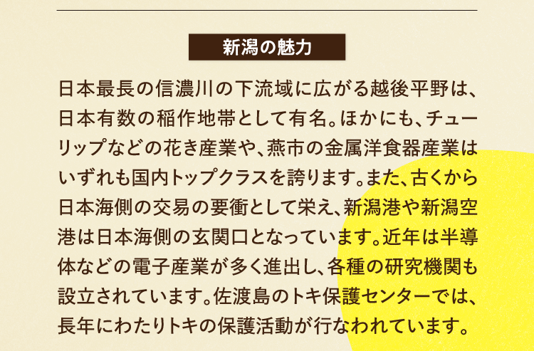 新潟の魅力 日本最長の信濃川の下流域に広がる越後平野は、日本有数の稲作地帯として有名。ほかにも、チューリップなどの花き産業や、燕市の金属洋食器産業はいずれも国内トップクラスを誇ります。また、古くから日本海側の交易の要衝として栄え、新潟港や新潟空港は日本海側の玄関口となっています。近年は半導体などの電子産業が多く進出し、各種の研究機関も設立されています。佐渡島のトキ保護センターでは、長年にわたりトキの保護活動が行なわれています。