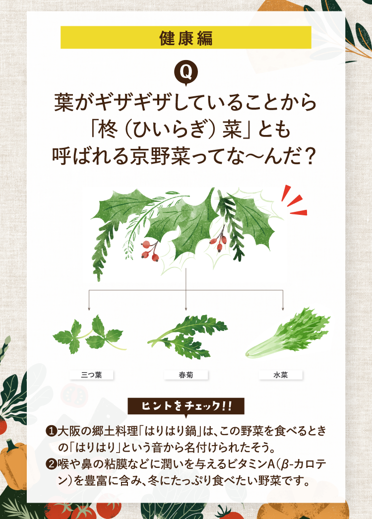 健康編 葉がギザギザしていることから「柊（ひいらぎ）菜」とも呼ばれる京野菜ってな～んだ？ 三つ葉 春菊 水菜  ヒントをチェック！！ ❶大阪の郷土料理「はりはり鍋」は、この野菜を食べるときの「はりはり」という音から名付けられたそう。 ❷喉や鼻の粘膜などに潤いを与えるビタミンA（β-カロテン）を豊富に含み、冬にたっぷり食べたい野菜です。