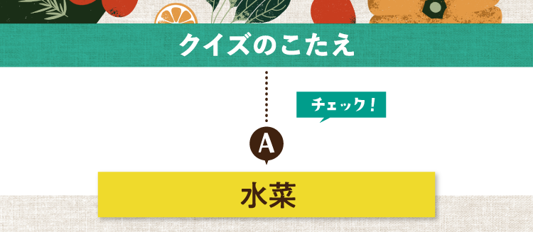 クイズのこたえをチェック！ 答えは水菜