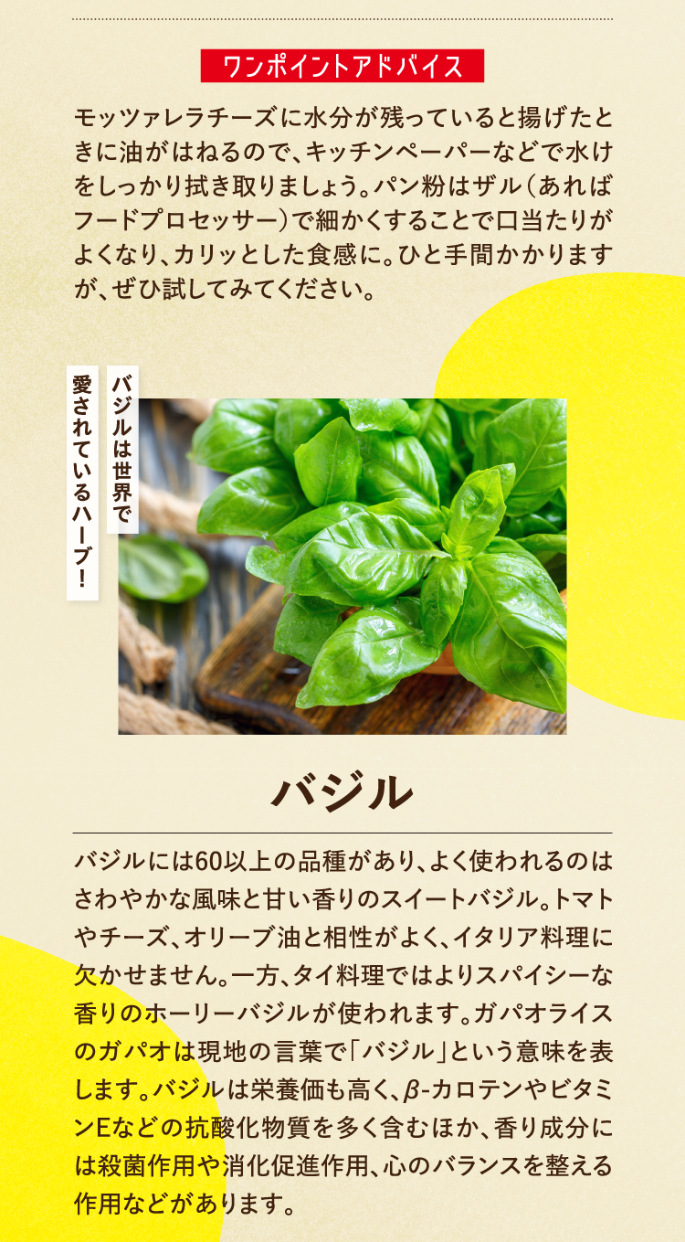 ワンポイントアドバイス モッツァレラチーズに水分が残っていると揚げたときに油がはねるので、キッチンペーパーなどで水けをしっかり拭き取りましょう。パン粉はザル（あればフードプロセッサー）で細かくすることで口当たりがよくなり、カリッとした食感に。ひと手間かかりますが、ぜひ試してみてください。 バジルは世界で愛されているハーブ！ バジル バジルには60以上の品種があり、よく使われるのはさわやかな風味と甘い香りのスイートバジル。トマトやチーズ、オリーブ油と相性がよく、イタリア料理に欠かせません。一方、タイ料理ではよりスパイシーな香りのホーリーバジルが使われます。ガパオライスのガパオは現地の言葉で｢バジル｣という意味を表します。バジルは栄養価も高く、β-カロテンやビタミンEなどの抗酸化物質を多く含むほか、香り成分には殺菌作用や消化促進作用、心のバランスを整える作用などがあります。