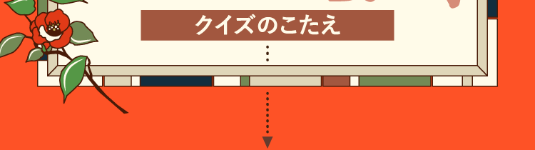 クイズのこたえをチェック！