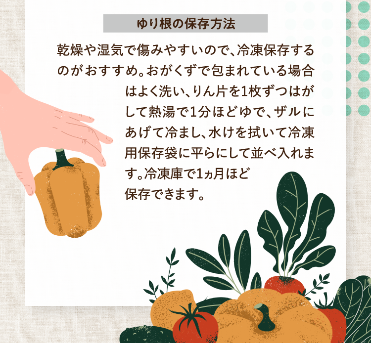 ゆり根の保存方法 乾燥や湿気で傷みやすいので、冷凍保存するのがおすすめ。おがくずで包まれている場合はよく洗い、りん片を1枚ずつはがして熱湯で1分ほどゆで、ザルにあげて冷まし、水けを拭いて冷凍用保存袋に平らにして並べ入れます。冷凍庫で1ヵ月ほど保存できます。