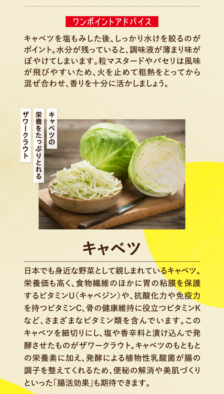 ワンポイントアドバイス キャベツを塩もみした後、しっかり水けを絞るのがポイント。水分が残っていると、調味液が薄まり味がぼやけてしまいます。粒マスタードやパセリは風味が飛びやすいため、火を止めて粗熱をとってから混ぜ合わせ、香りを十分に活かしましょう。 キャベツの栄養をたっぷりとれるザワークラウト キャベツ 日本でも身近な野菜として親しまれているキャベツ。栄養価も高く、食物繊維のほかに胃の粘膜を保護するビタミンU（キャベジン）や、抗酸化力や免疫力を持つビタミンC、骨の健康維持に役立つビタミンKなど、さまざまなビタミン類を含んでいます。このキャベツを細切りにし、塩や香辛料と漬け込んで発酵させたものがザワークラウト。キャベツのもともとの栄養素に加え、発酵による植物性乳酸菌が腸の調子を整えてくれるため、便秘の解消や美肌づくりといった｢腸活効果｣も期待できます。