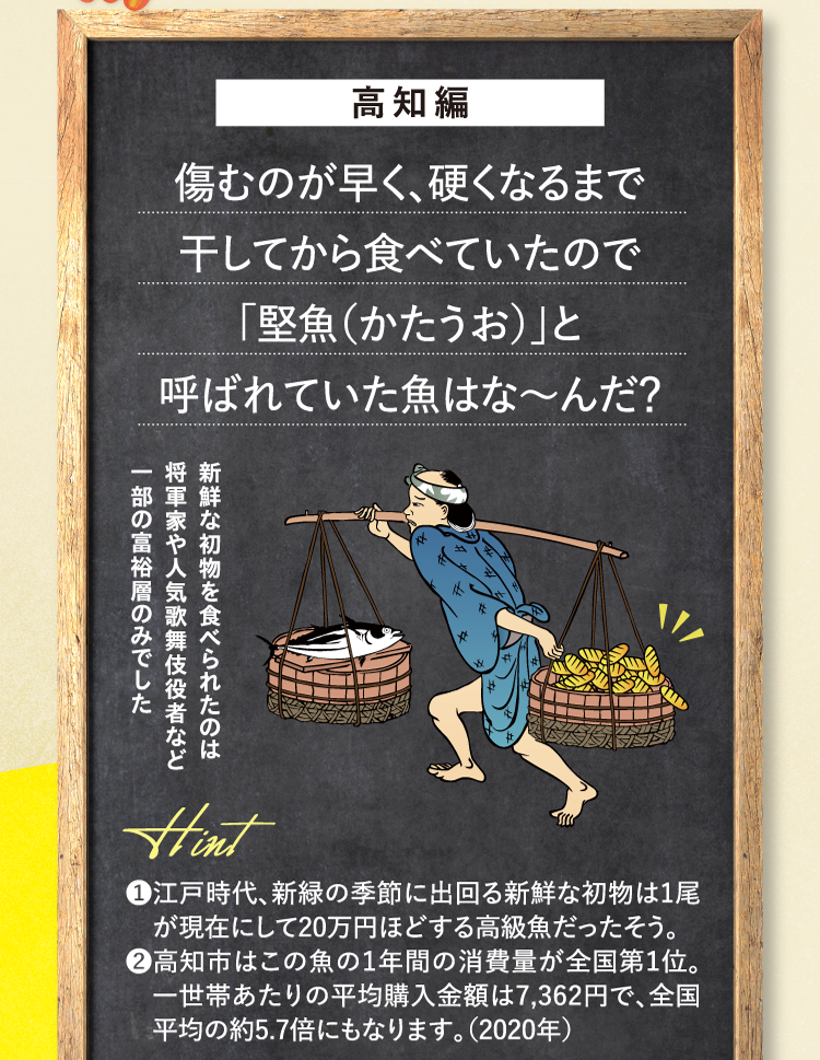 高知編 傷むのが早く、硬くなるまで干してから食べていたので｢堅魚（かたうお）｣と呼ばれていた魚はな～んだ？ 新鮮な初物を食べられたのは将軍家や人気歌舞伎役者など一部の富裕層のみでした ヒント ❶江戸時代、新緑の季節に出回る新鮮な初物は1尾が現在にして20万円ほどする高級魚だったそう。 ❷高知市はこの魚の１年間の消費量が全国第１位。一世帯あたりの平均購入金額は7,362円で、全国平均の約5.7倍にもなります。（2020年）