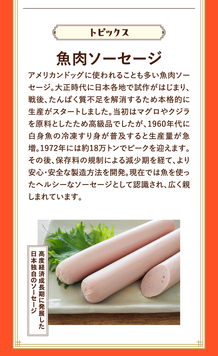 トピックス 魚肉ソーセージ アメリカンドッグに使われることも多い魚肉ソーセージ。大正時代に日本各地で試作がはじまり、戦後、たんぱく質不足を解消するため本格的に生産がスタートしました。当初はマグロやクジラを原料としたため高級品でしたが、1960年代に白身魚の冷凍すり身が普及すると生産量が急増。1972年には約18万トンでピークを迎えます。その後、保存料の規制による減少期を経て、より安心・安全な製造方法を開発。現在では魚を使ったヘルシーなソーセージとして認識され、広く親しまれています。 高度経済成長期に発展した日本独自のソーセージ