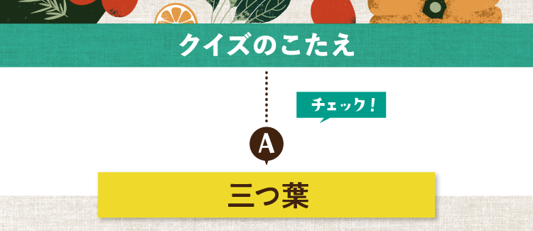 クイズのこたえをチェック！ 答えは三つ葉