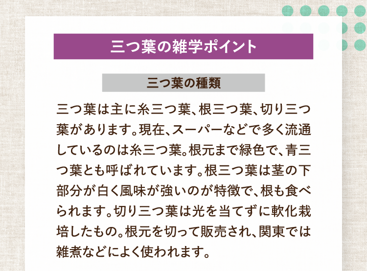 三つ葉の雑学ポイント 三つ葉の種類 三つ葉は主に糸三つ葉、根三つ葉、切り三つ葉があります。現在、スーパーなどで多く流通しているのは糸三つ葉。根元まで緑色で、青三つ葉とも呼ばれています。根三つ葉は茎の下部分が白く風味が強いのが特徴で、根も食べられます。切り三つ葉は光を当てずに軟化栽培したもの。根元を切って販売され、関東では雑煮などによく使われます。
